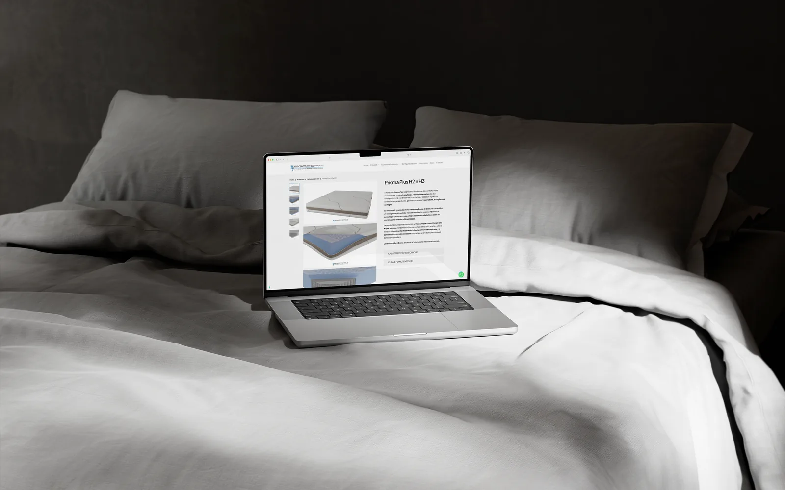 Egoform, il sito web su portatile