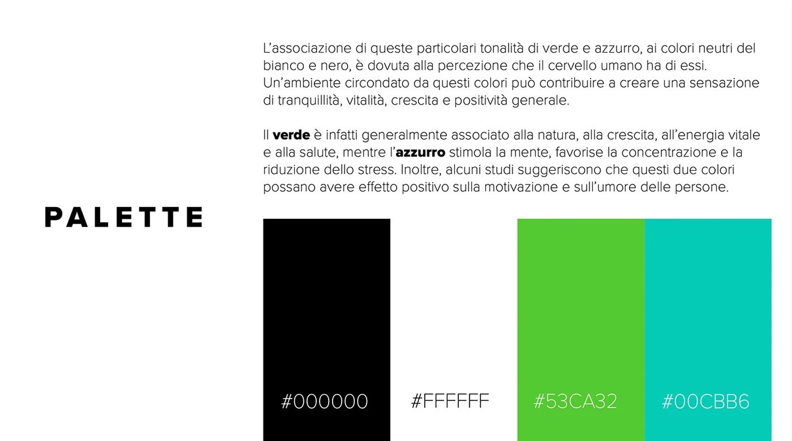My Fit Point, la palette dei colori